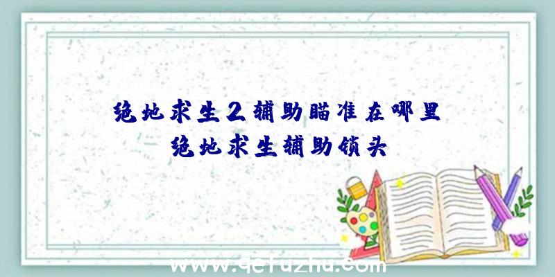 「绝地求生2辅助瞄准在哪里」|绝地求生辅助锁头